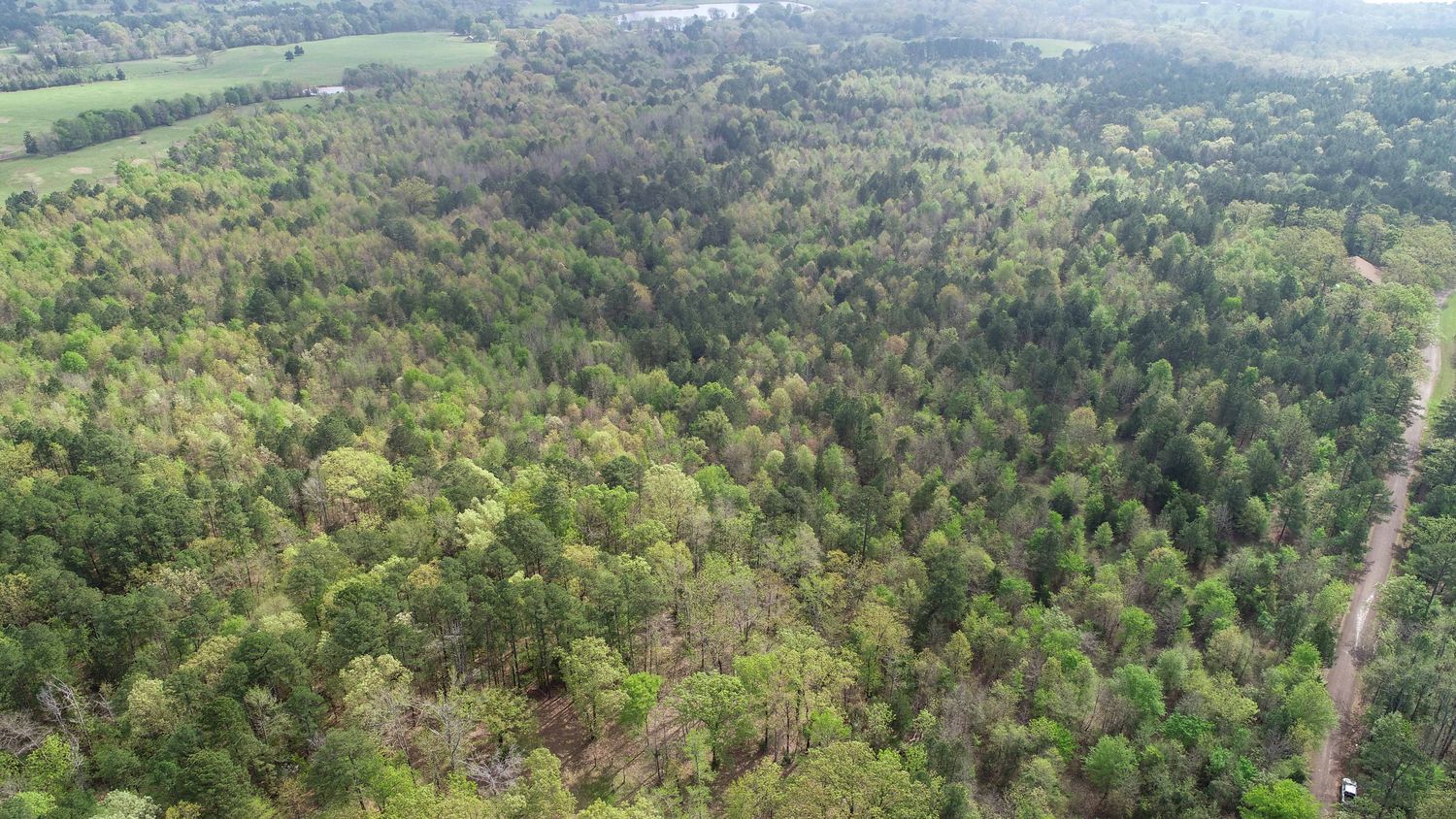 Farris 115 Timber: 00 CR 2215, Daingerfield, TX 75638
